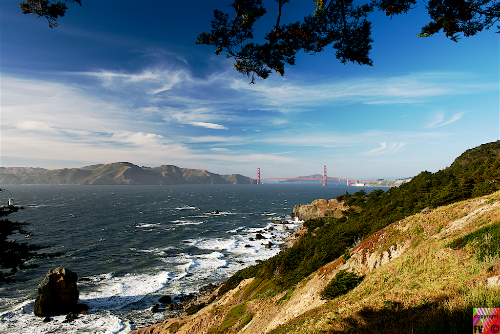 704 San Francisco Golden Gate Bridge