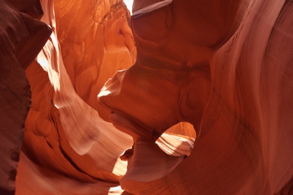 Stacks Image 76