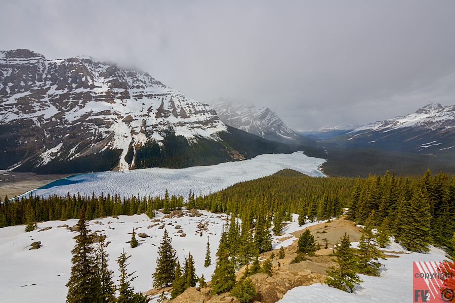 1647 Jasper-Banff, Peyto Lake