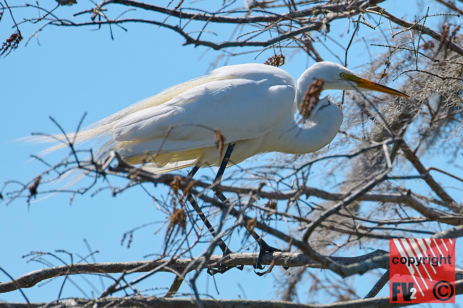 1409 Orlando Wetlands