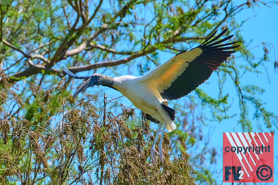1410 Orlando Wetlands