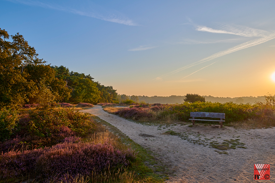 1218 Blaricummerheide