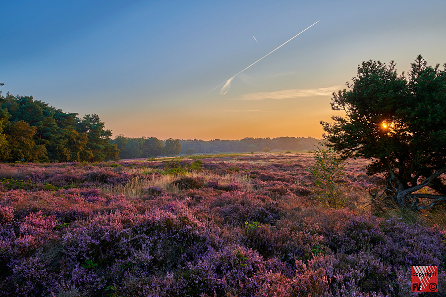 1216 Blaricummerheide