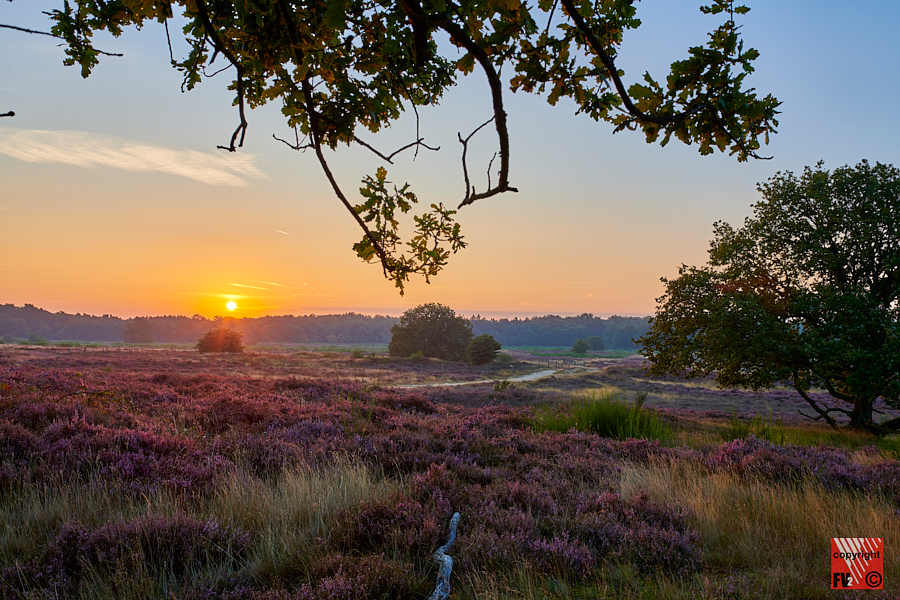 1215 Blaricummerheide
