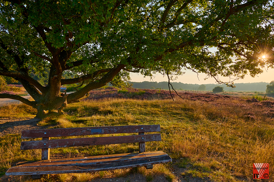 1219 Blaricummerheide