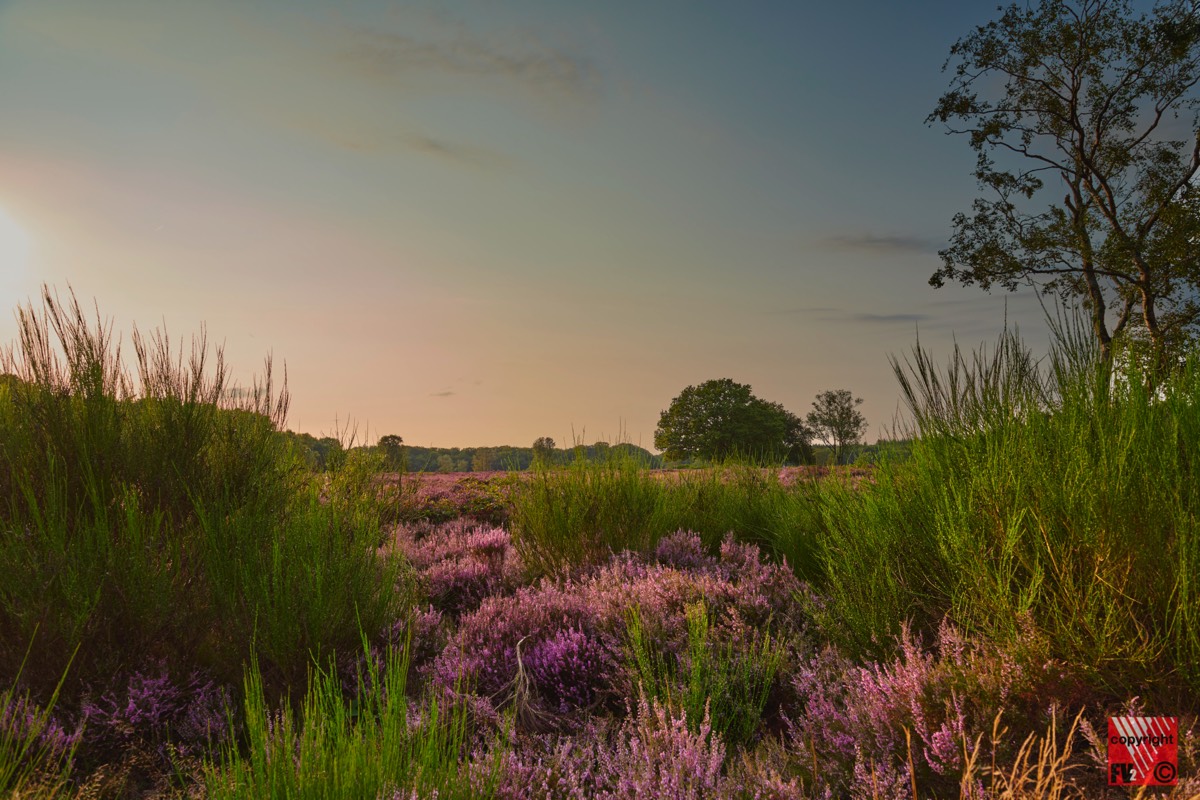 1212 Blaricummerheide