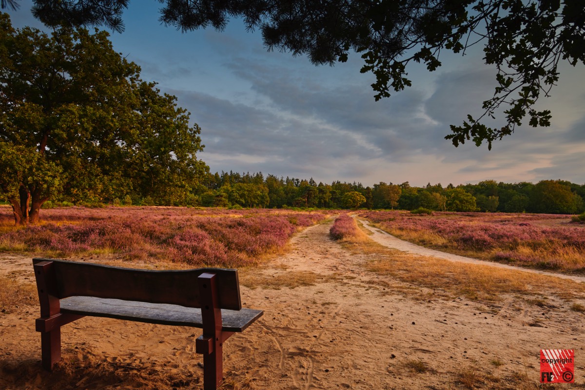 1210 Blaricummerheide