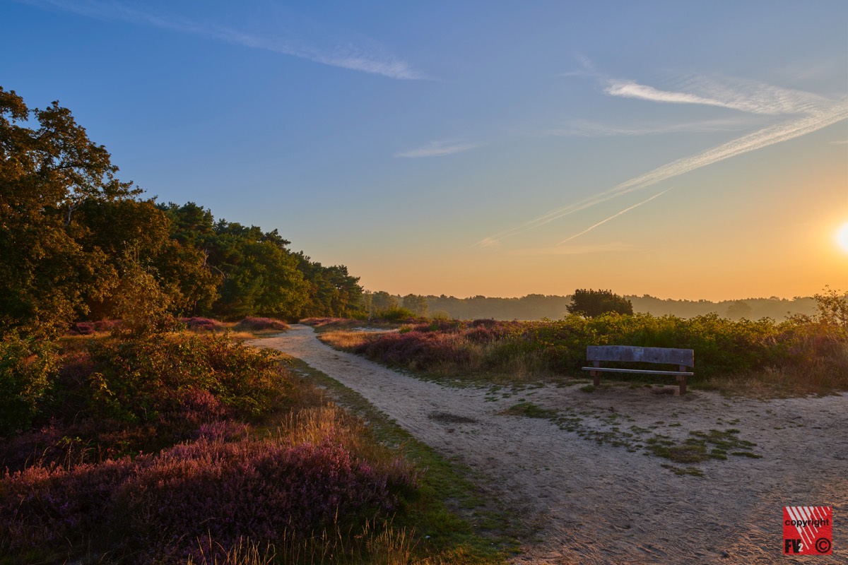 1218 Blaricummerheide