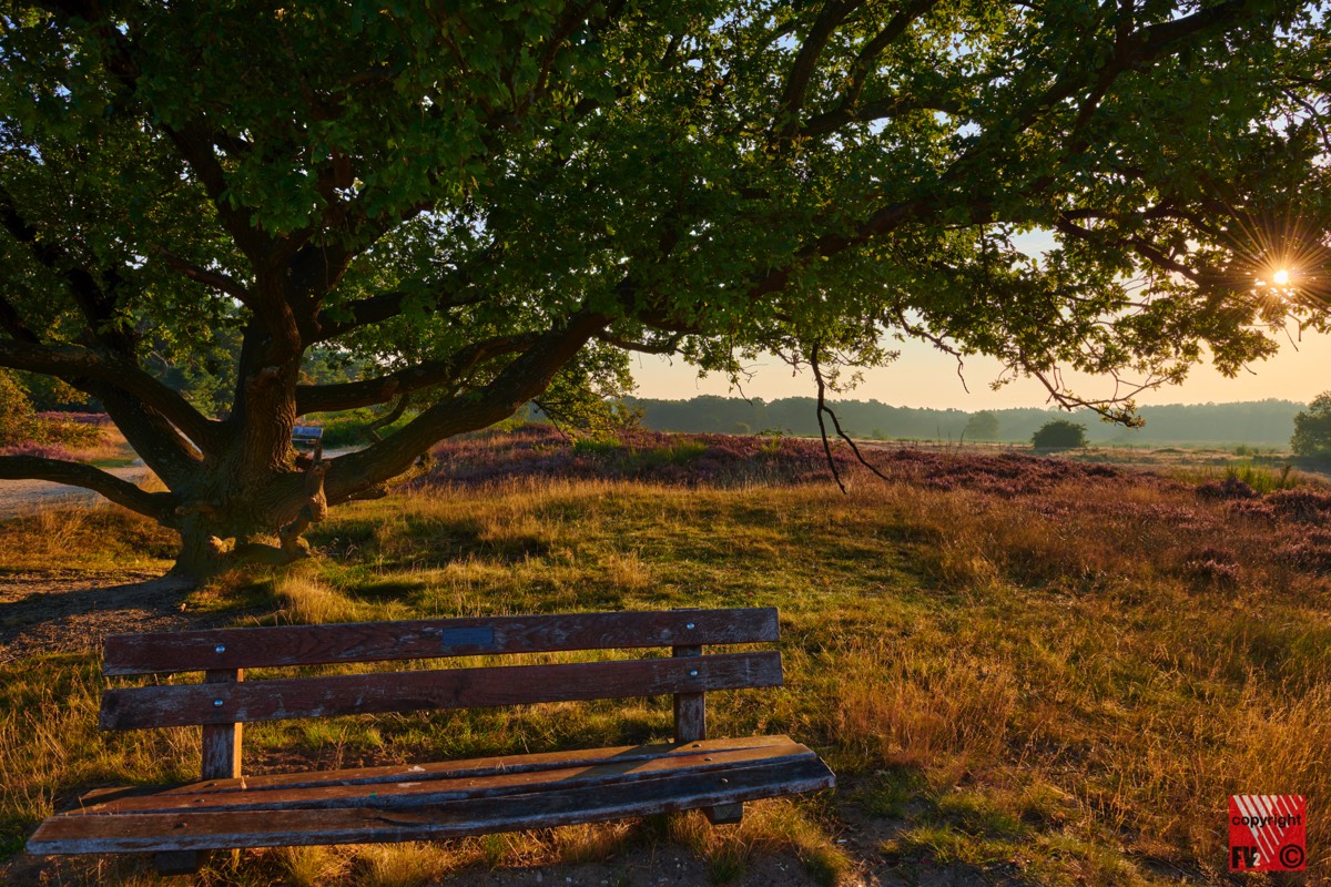 1219 Blaricummerheide