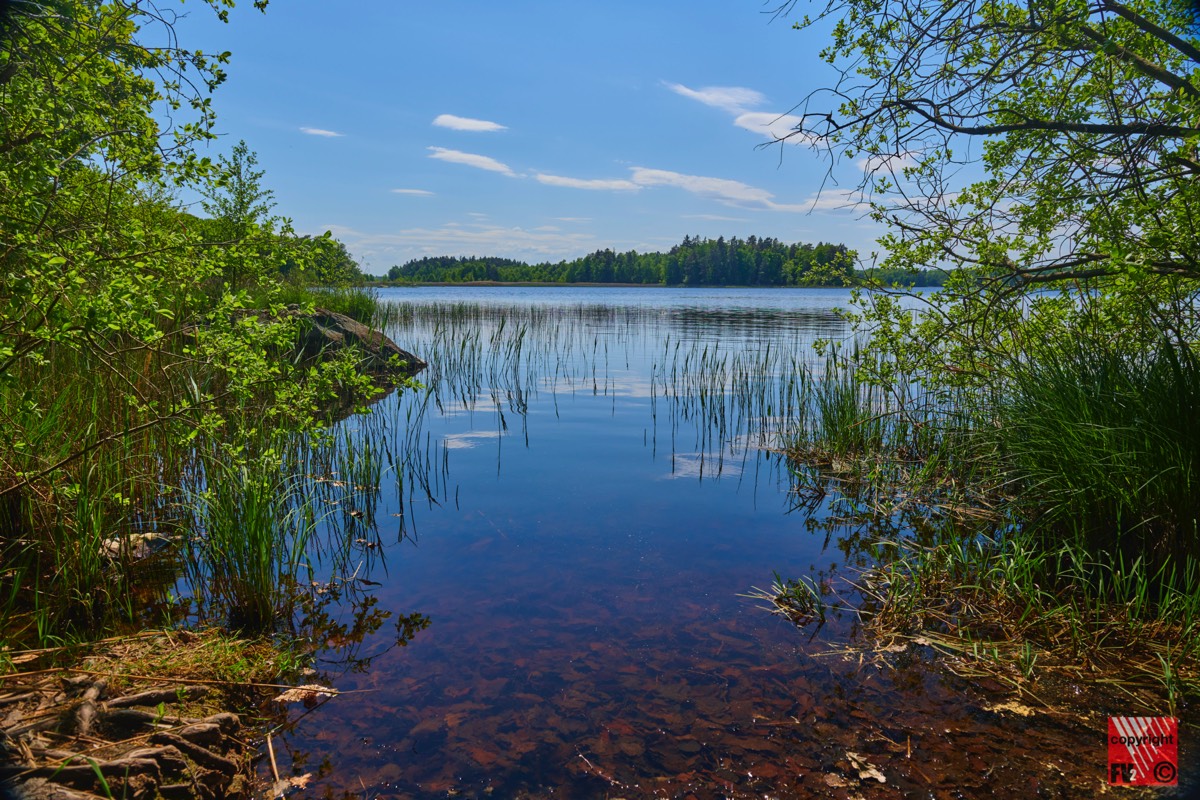 908 Åsnens Nationalpark