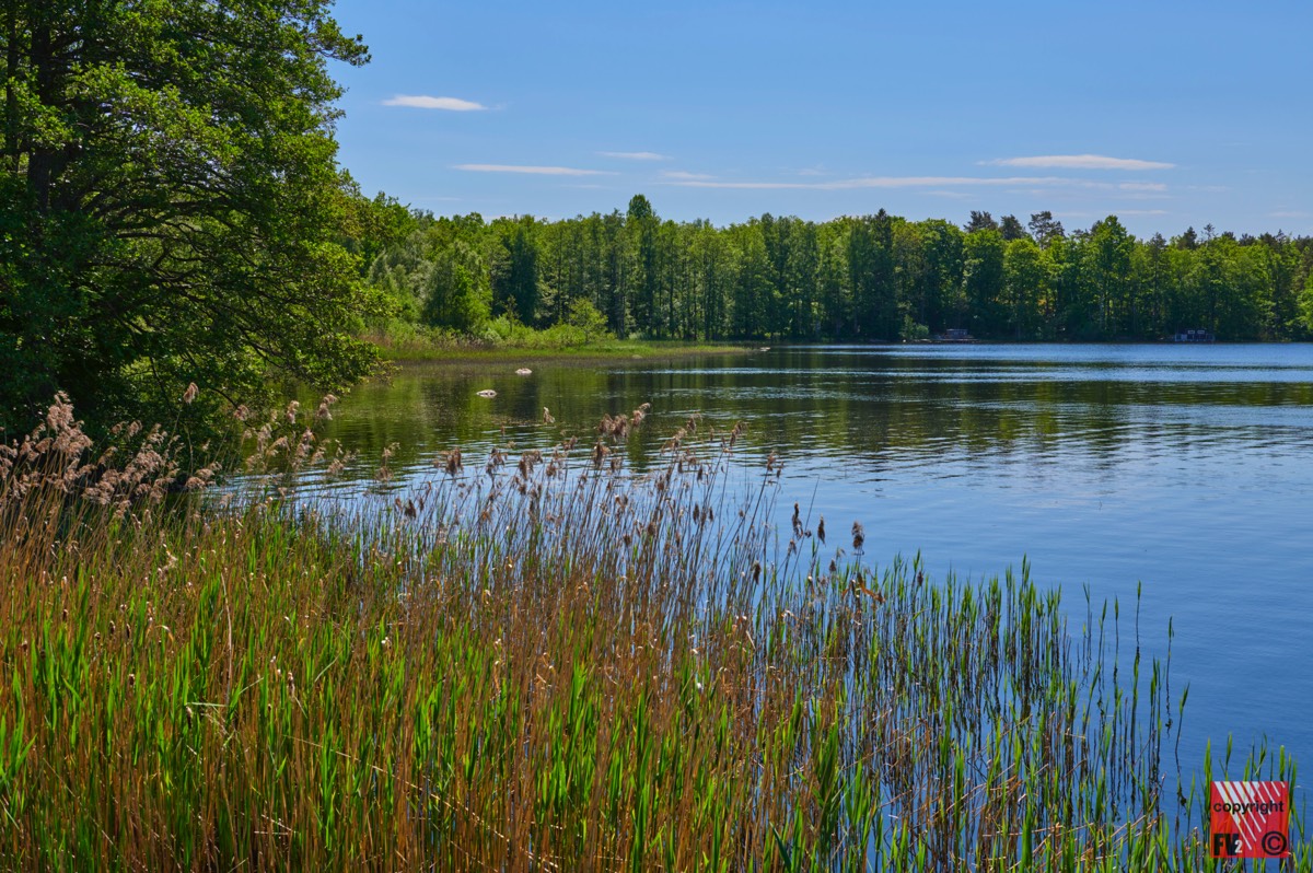 903 Åsnens Nationalpark