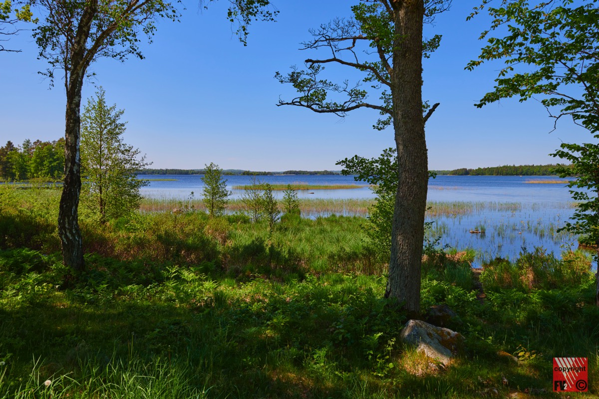 902 Åsnens Nationalpark